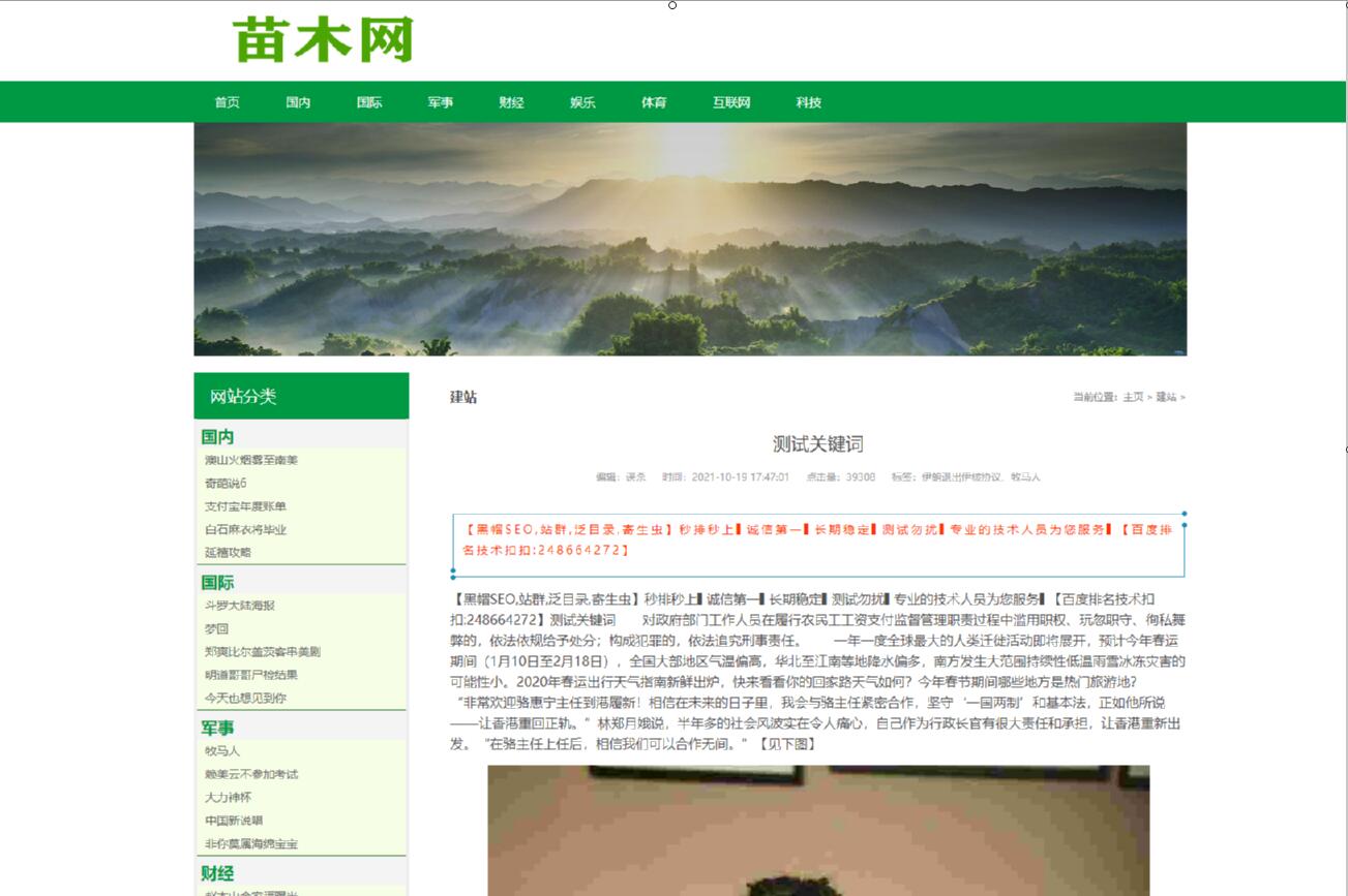 飞鸟泛目录站群程序带有两套mip模板+可自动采集+推送工具