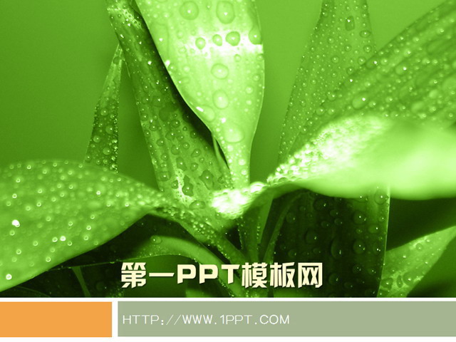 绿色植物背景PPT模板下载