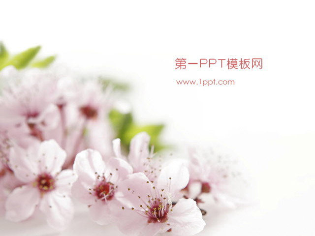 粉色桃花背景植物类幻灯片模板下载